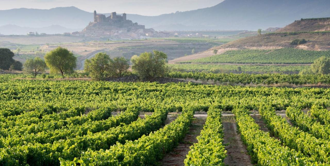 Apartamento Haro Wine Experience Exterior photo